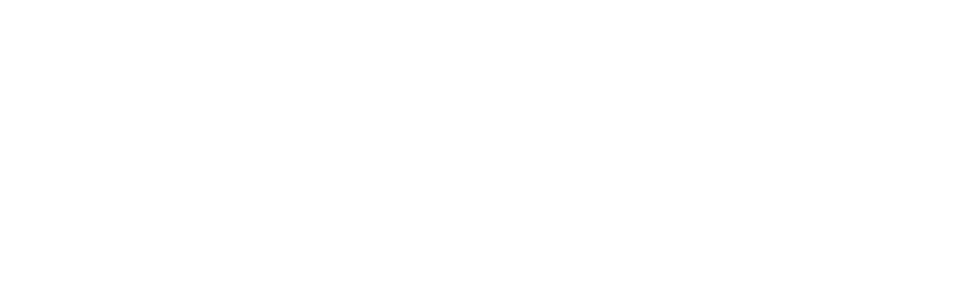 BB Logo weiß